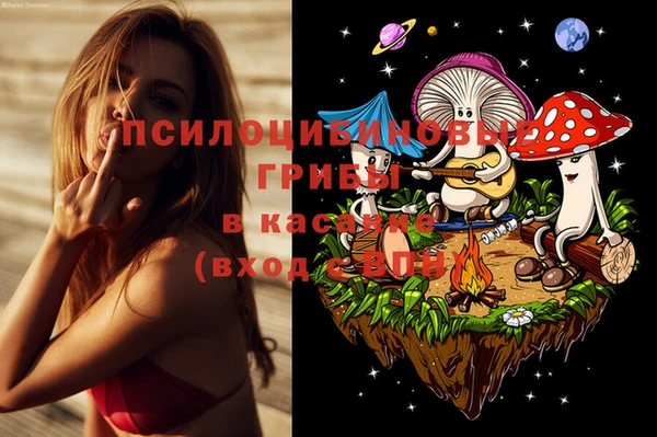 МДПВ Армянск
