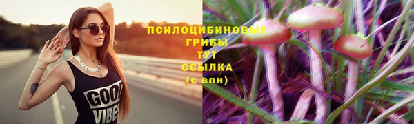 jwh Арсеньев