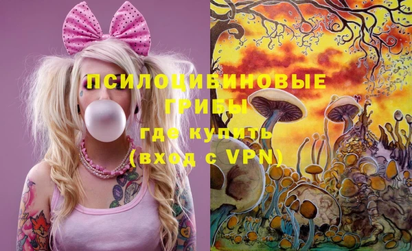 МДПВ Армянск